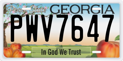 GA license plate PWV7647