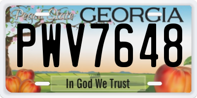 GA license plate PWV7648