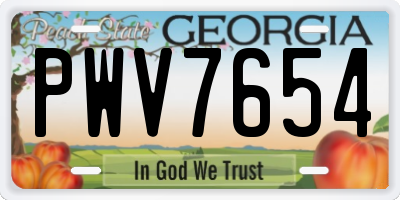 GA license plate PWV7654