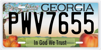 GA license plate PWV7655