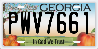 GA license plate PWV7661