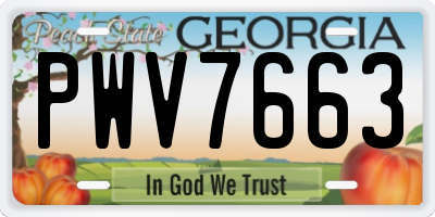 GA license plate PWV7663