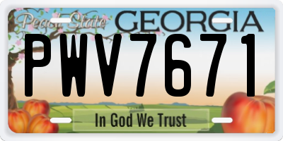 GA license plate PWV7671