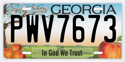 GA license plate PWV7673