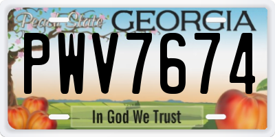 GA license plate PWV7674