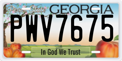 GA license plate PWV7675