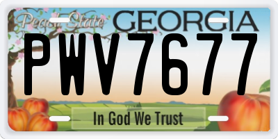 GA license plate PWV7677