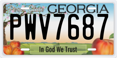 GA license plate PWV7687