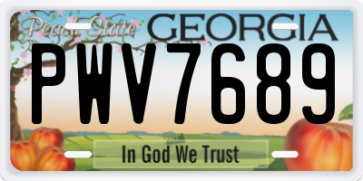 GA license plate PWV7689