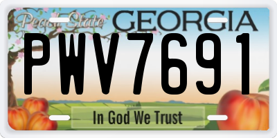 GA license plate PWV7691