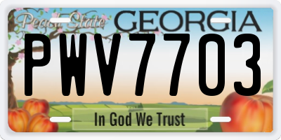 GA license plate PWV7703