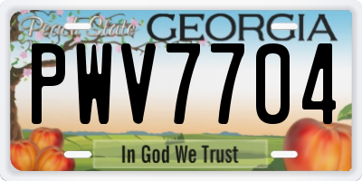 GA license plate PWV7704