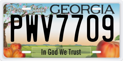 GA license plate PWV7709