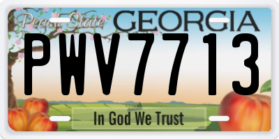 GA license plate PWV7713