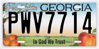 GA license plate PWV7714