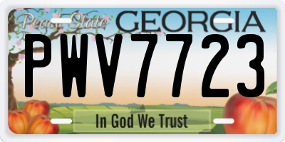 GA license plate PWV7723