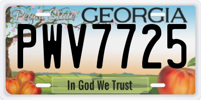 GA license plate PWV7725