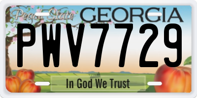 GA license plate PWV7729