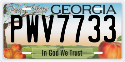 GA license plate PWV7733