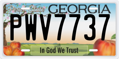 GA license plate PWV7737