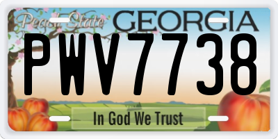 GA license plate PWV7738