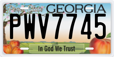 GA license plate PWV7745