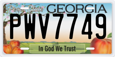 GA license plate PWV7749