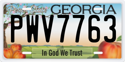 GA license plate PWV7763
