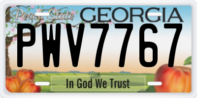 GA license plate PWV7767