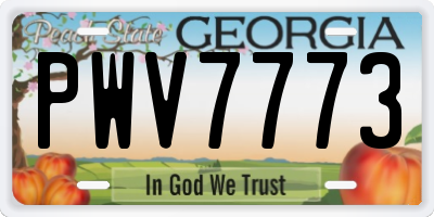 GA license plate PWV7773