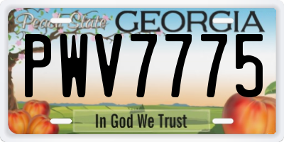 GA license plate PWV7775
