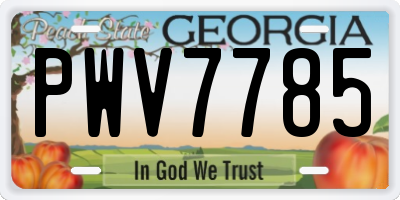 GA license plate PWV7785