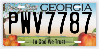 GA license plate PWV7787