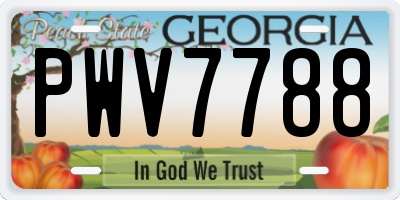 GA license plate PWV7788