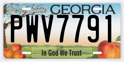 GA license plate PWV7791