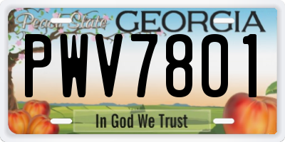 GA license plate PWV7801