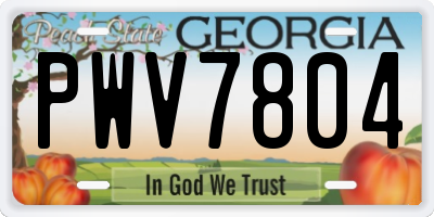 GA license plate PWV7804
