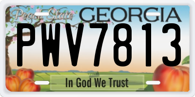 GA license plate PWV7813