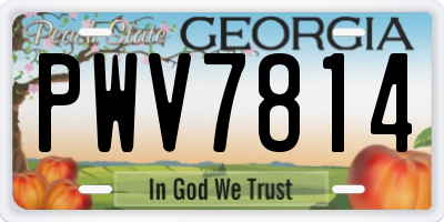 GA license plate PWV7814