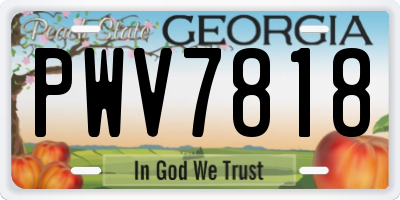 GA license plate PWV7818