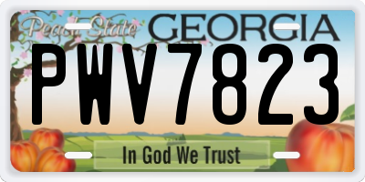 GA license plate PWV7823