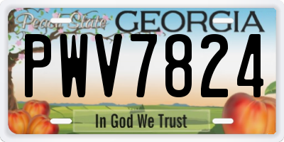 GA license plate PWV7824