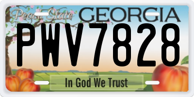 GA license plate PWV7828