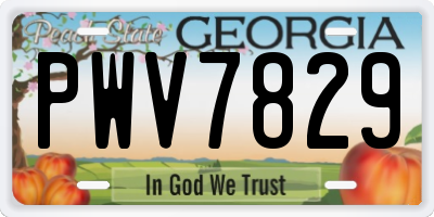 GA license plate PWV7829