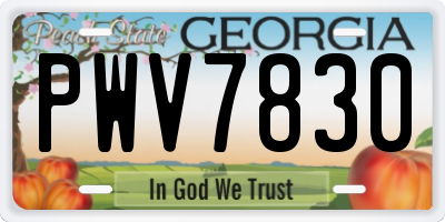 GA license plate PWV7830