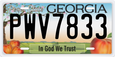 GA license plate PWV7833