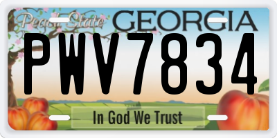 GA license plate PWV7834