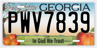 GA license plate PWV7839