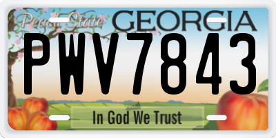 GA license plate PWV7843