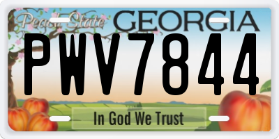 GA license plate PWV7844